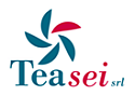 /files/live/sites/contea/files/contributed/loghi/tea_sei.png